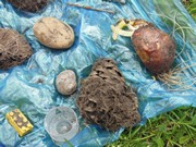 Vykopali jsme hřbitov odpadků